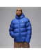 Jacket Puffer Blue