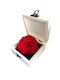 All Saints Red Rose Wooden Box H:5 Cm W:10 Cm Milvaflowers