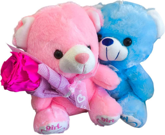 All Saints Fuchsia Rose Blue Pink Teddy Bear H 23 Cm Milva Flowers