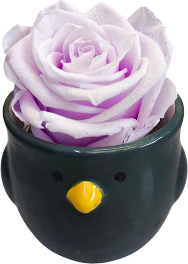 Lilac All Saints Rose Clay Chick 7cm Milvaflowers