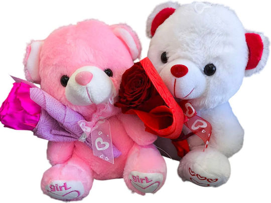 All Saints Red Fuchsia Rose White Pink Teddy Bear H:23 Cm Milva Flowers