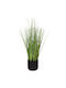 Grass 46cm Ceramic Black Pot Ø10x9.5cm