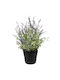 Plantă Artificială Lavandă În Ghiveci 30x48cm 04-99920