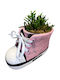 Rhipsalis Keramisch Rosa Höhe 11cm M:12cm MilvaFlowers
