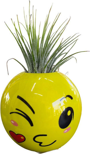 Αερόφυτο Tillandsia Κεραμικό Emoticon Φιλί Υ 10 Cm Π 6 Cm Milvaflowers
