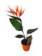 MilvaFlowers Strelitzia Pflanze Künstliche Blume Vogel Des Paradies Kunststofftopf Y 40cm