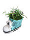 Rhipsalis Ceramică Pantofior Turcoaz Înălțime 11cm Lățime 12cm