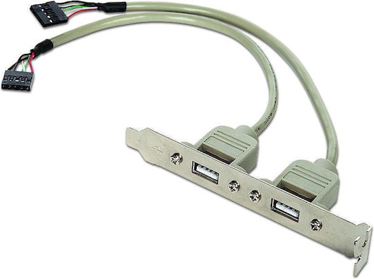 Cablexpert Dual USB 2.0 Steckdose Auf Halterung
