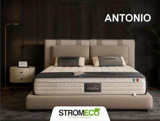 Antonio Bett Übergröße Mit Stoff Beige Für Matratze 170x200cm