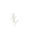 Melilotus Artificial Decorative Lavender Branch Purple 115cm Atmosphera