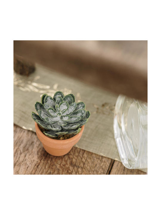 Τεχνητό Φυτό σε Γλαστράκι 6cm Beauty Home