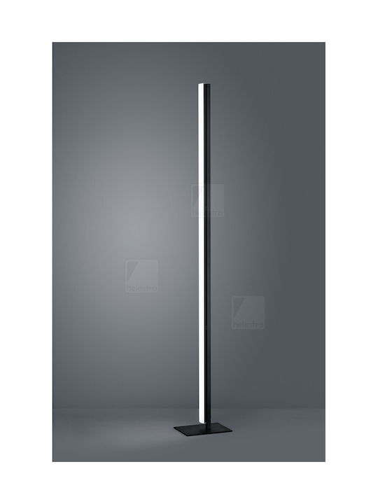 Helestra LED Floor Lamp Black