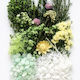 Dried Flowers Mix Green Valey