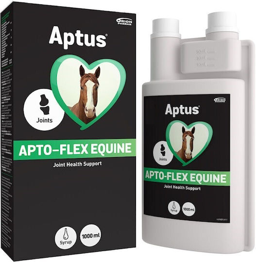 Holista Πολυβιταμίνες Σκύλου 250gr για Αρθρώσεις