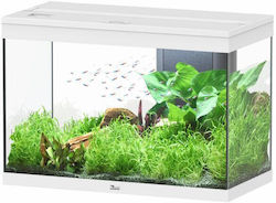 Aquatlantis Splendid 80 146lt