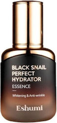 Perfect Black Snail Perfect Hydrator Gesicht Serum 35ml Perfect Black Snail Perfect Hydrator Gesicht Serum 35ml