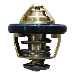 Termostat Sym Gts Nexus 250