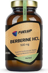 Fuel Up Berberine HCL 500mg Fuel Up Berberine HCL 500mg