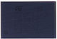 Apple Iphone 12 Series Wireless Charge Ic Stwpa1