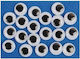 Fandy Moving Oval Peepers 20mm 12 Pieces