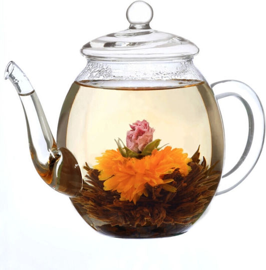 Creano Стъклен Чайник 500ml