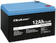 Qoltec Baterie UPS cu Capacitate 12Ah și Tensiune 12.8V 53701 1buc