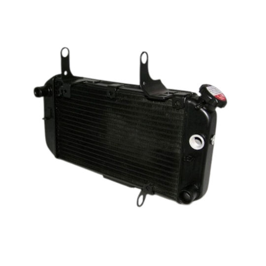 Radiator Suzuki DL 650 V-Strom 04'-22' Shark