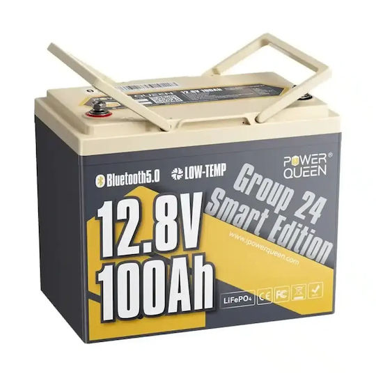 Power Queen LiFePO4 (PQ12100)
