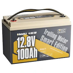 Power Queen LiFePO4 (PQ12100SMART)