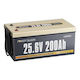 Power Queen LiFePO4 (PQ24200)