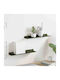 Rafturi Perete Green 2buc 40x9x2.5cm