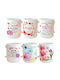 Dorosimo Ceramic Mug in Various Designs White 330ml (Various Designs)