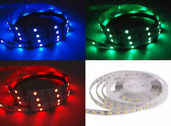 LED Strip 12V RGB 5m LED Strip 12V RGB 5m