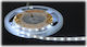 LED Strip 12V Cold White Light 5m
