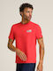T-Shirt Rot