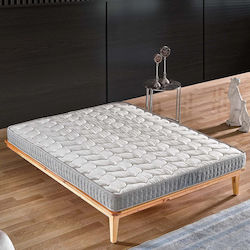 SteweHome STE004808