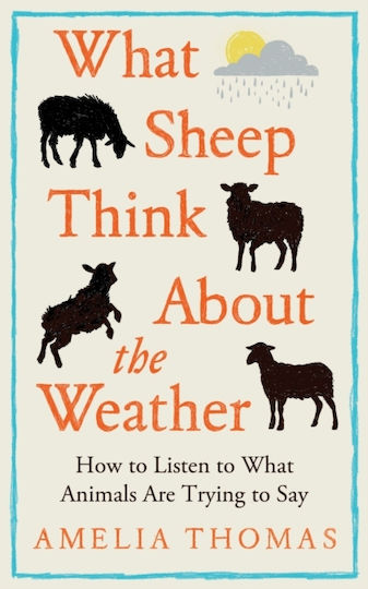 What Sheep Think About The Weather - Elliott & Thompson Limited - Hardback