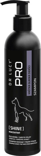 Acrylmed Șampon Reconstrucție/Hrană și Hidratare 250ml 201gr