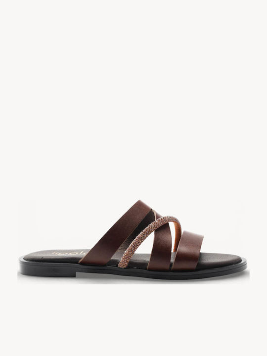 Brown Slippers Wide Strap Rhinestone Strip