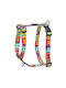 Rogz Σαμαράκι Σκύλου Fusion Popart Yellow M 32-52cm