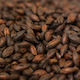 Pale Chocolate 600ebc