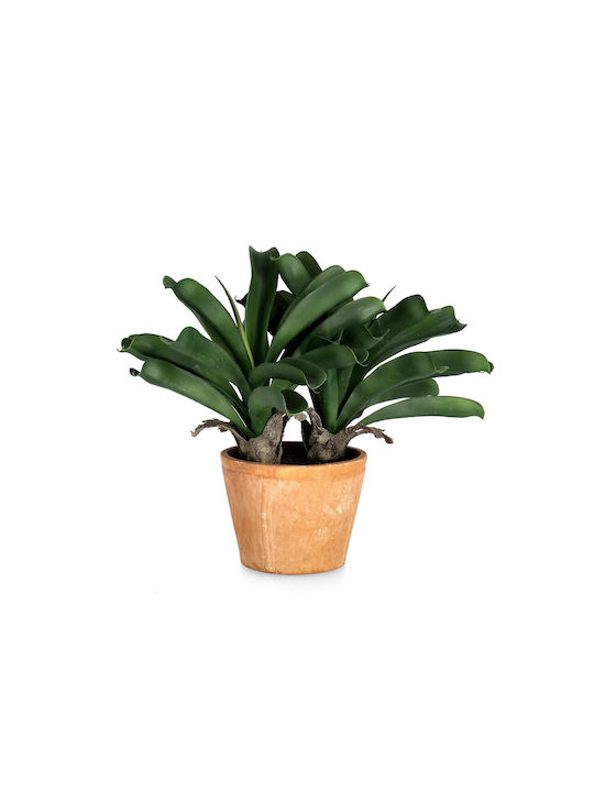 Bizzotto Plantă Ananas Cu Vază W X2tr H43cm 53x40x43h