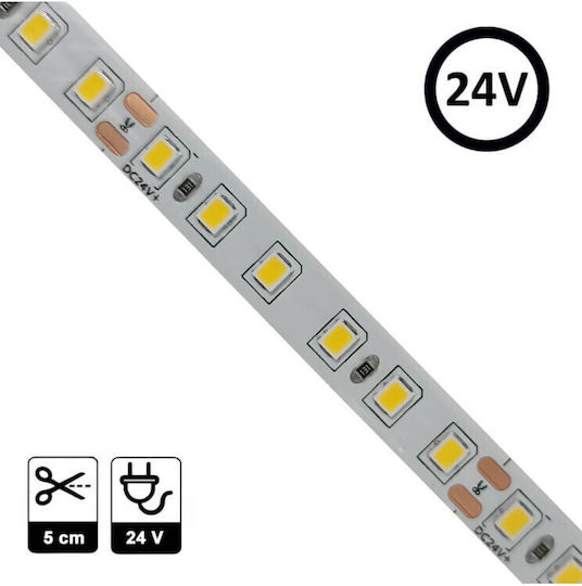 LED Лента 24V 5м с Захранване