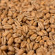 Wheat 4ebc Weyermann