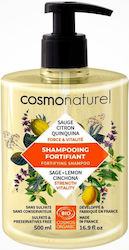 Cosmo Naturel Σαμπουάν Λάμψης 500ml