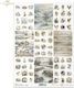 Decoupage Rice Paper Early Spring Collection