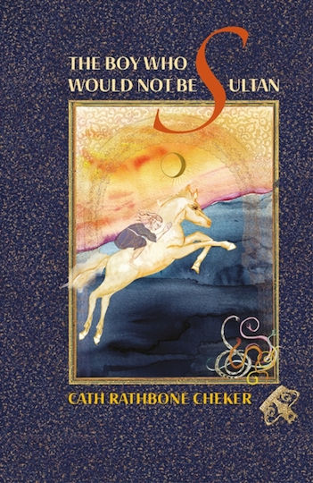 Boy Who Would Not Be Sultan - By The Book - Paperback / Softback