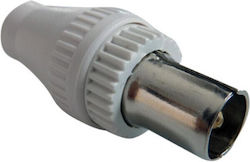 Jager Fiș Tv Masculin 100 Buc A124