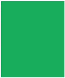 Canson Cardboard A4 Green 220gr