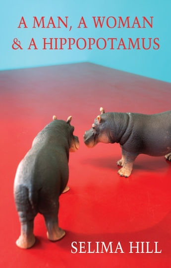 Man, A Woman & A Hippopotamus - Bloodaxe Books Ltd - Paperback / Softback